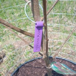 IMG_20230523_133651_560.jpg Pembina Plum tree identification tag