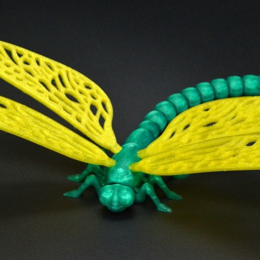 DSC_8154ютуб.jpg Flexi dragonfly