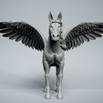 Pegasus-4.png Pegasus