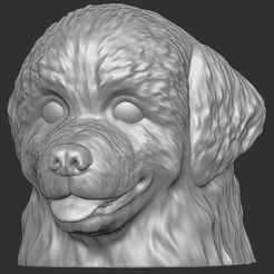 1.jpg STL-Datei Welpenkopf eines Berner Sennenhundes für den 3D-Druck・3D-druckbare Vorlage zum herunterladen