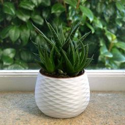 5_edit.jpg Free STL file Home Decor Pot・3D printer design to download