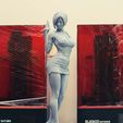 DSC_0558.jpg Ada Wong