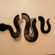 IMG_20221115_075758.jpg 3D file Snake Crystal Shelf, Holder, Organizer・Design to download and 3D print