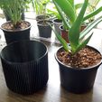 pot2.jpg Aloe Plant Pot