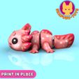 axo_6.jpg CUTE AXOLOTE, FLEXI AXOLOTE