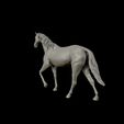 20.jpg Thoroughbred Horse model 3D print model