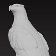 Victorian-Style-Eagle-Sculpture-3D-Model-STL-FBX-OBJ-GLB-14.jpg Victorian Style Eagle Sculpture 3D print model