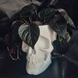 SKULL-POT-06.jpg POTE DE CAVEIRA