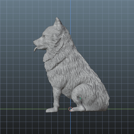 blender04.png PET DOG