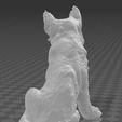 3.JPG Dog - German shepherd dog