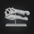 Captura-de-pantalla-2025-12-20-105312.png DINOSAURS SKULLS - PACK - 6 Models 3d