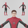 Portada.png SpiderMan Tom Holland Lowpoly Rigged