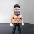 IMG_7618.jpg Archivo STL El boleto por favor Guy・Diseño para descargar y imprimir en 3D