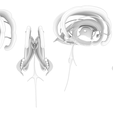 Limbic_AO.png Limbic System Anatomy