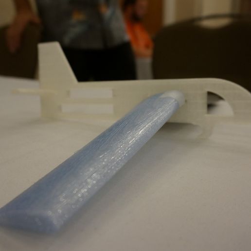 DSC08574.JPG Variations de l'aile d'un avion