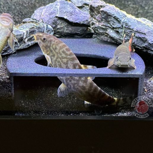 9.jpg Aquarium Hide Aquarium Cave Aquarium Fish Tunnel