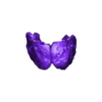 Mandible_Part21.stl Crâne d'Allosaurus