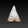 4.png STL file Shark Tooth・3D printer model to download
