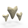 0_7.png PACOTE 3 DENTE DE TUBARÃO MEGALODON - DIGITALIZAÇÃO 3D