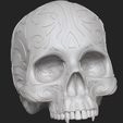2023-04-06-11_37_37-ZBrush.jpg stl file of 3d prints engraved female skull elegant anatomy