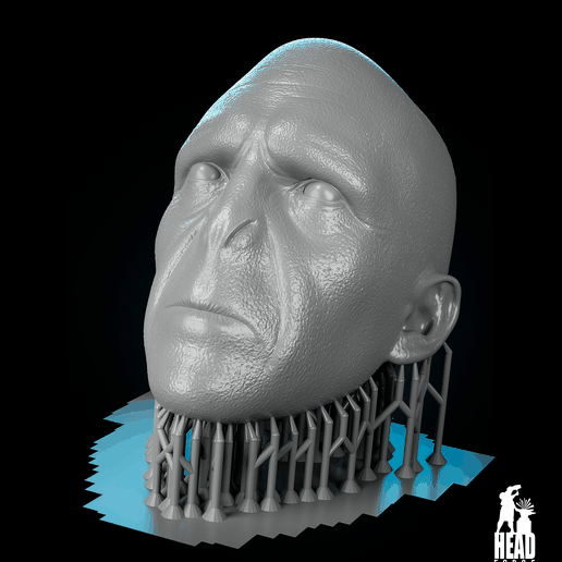04.png Пользовательская голова Лорда Волдеморта - 3D модель для печати