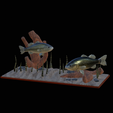 bass-R.png two bass scenery in underwather for 3d print detailed texture