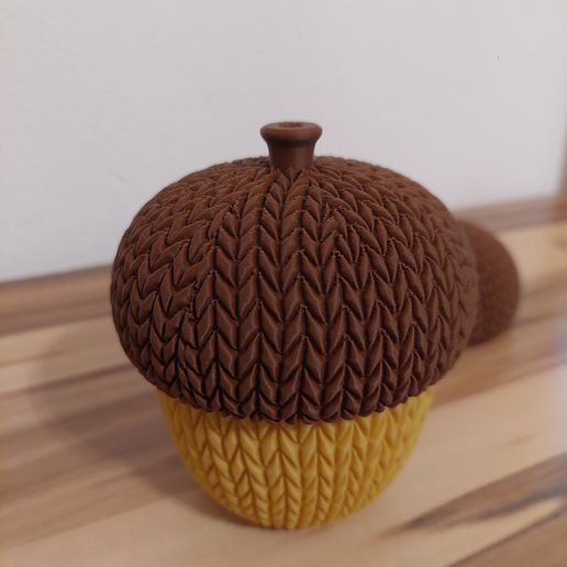 20251013_181713.jpg Knitted Acorn Light