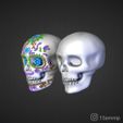 1-3.jpg Calavera + skull