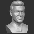 11.jpg Gordon Ramsay bust for 3D printing