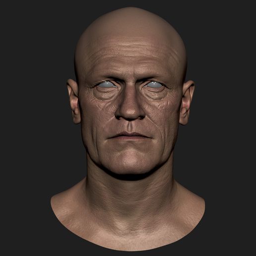 🗿 Michael Rooker likeness sculpt 3D model・ OBJ File for 3D printing・Cults