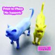 3d-cat-5.jpg FLEXI CAT | PRINT-IN-PLACE