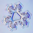 triangular-snowflake-kenneth-libbrechtscience-photo-library.jpg Snowflake Vase