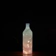 IMG_3777.jpeg twinkle bottle shape 2