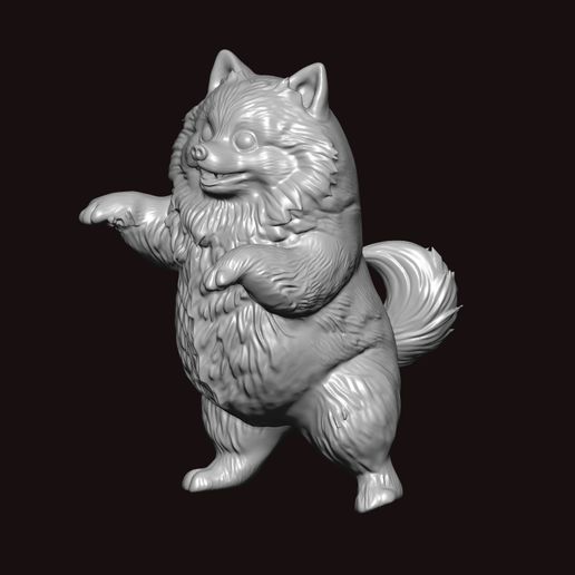 4aa.jpg Pomeranian niedlich