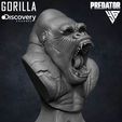 King-Gorilla-Predator-sculpted-by-Yacine-BRINIS-019.jpg King Gorilla