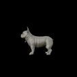 23.jpg French Bulldog model 3D print model