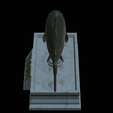 Trout-statue-15.png fish rainbow trout / Oncorhynchus mykiss statue detailed texture for 3d printing