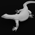 Pose14-min.png Asian Water Monitor - Realistic Lizard Reptile - Varanus Salvator