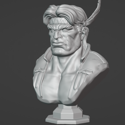 THawk1.png Thunder Hawk Street Fighter Bust