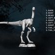 8.jpg Compsognathus | Jurassic Park