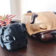 Captura5.PNG Set STL Pets DOG Flower Pot 6 designs Cactus Succulents - Pets DOG Flower Pot Design