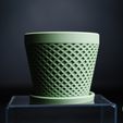 DSCF8657.jpg delta · planter