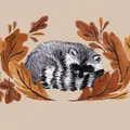 raccoon_nest