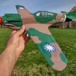 IMG_20230428_164144408_HDR.jpg Файл 3D Curtiss P-40B/C Warhawk 600 мм・Идея 3D-печати для скачивания