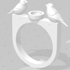 BIRD.JPG STL-Datei Bird nest ring herunterladen • 3D-Drucker-Vorlage, rubendelbargetc