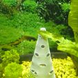 IMG_20251205_212736326.jpg 🐟 Uno sguardo alla Grotta del Cono