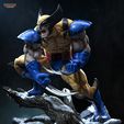 Wolverine_TanukiFigures_02.jpg Wolverine - X-Men
