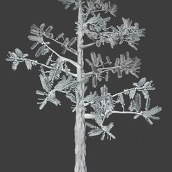 21.jpg Prehistoric Conifer in 3D: A Realistic Reconstitution for your Virtual Worlds