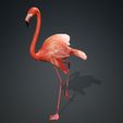 A.jpg DOWNLOAD Flamingo 3D MODEL ANIMATED - BLENDER - 3DS MAX - CINEMA 4D - FBX - MAYA - UNITY - UNREAL - OBJ -  Flamingo DINOSAUR DINOSAUR Flamingo DINOSAUR BIRD