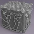 w6.jpg epithelial cells types collection 3D